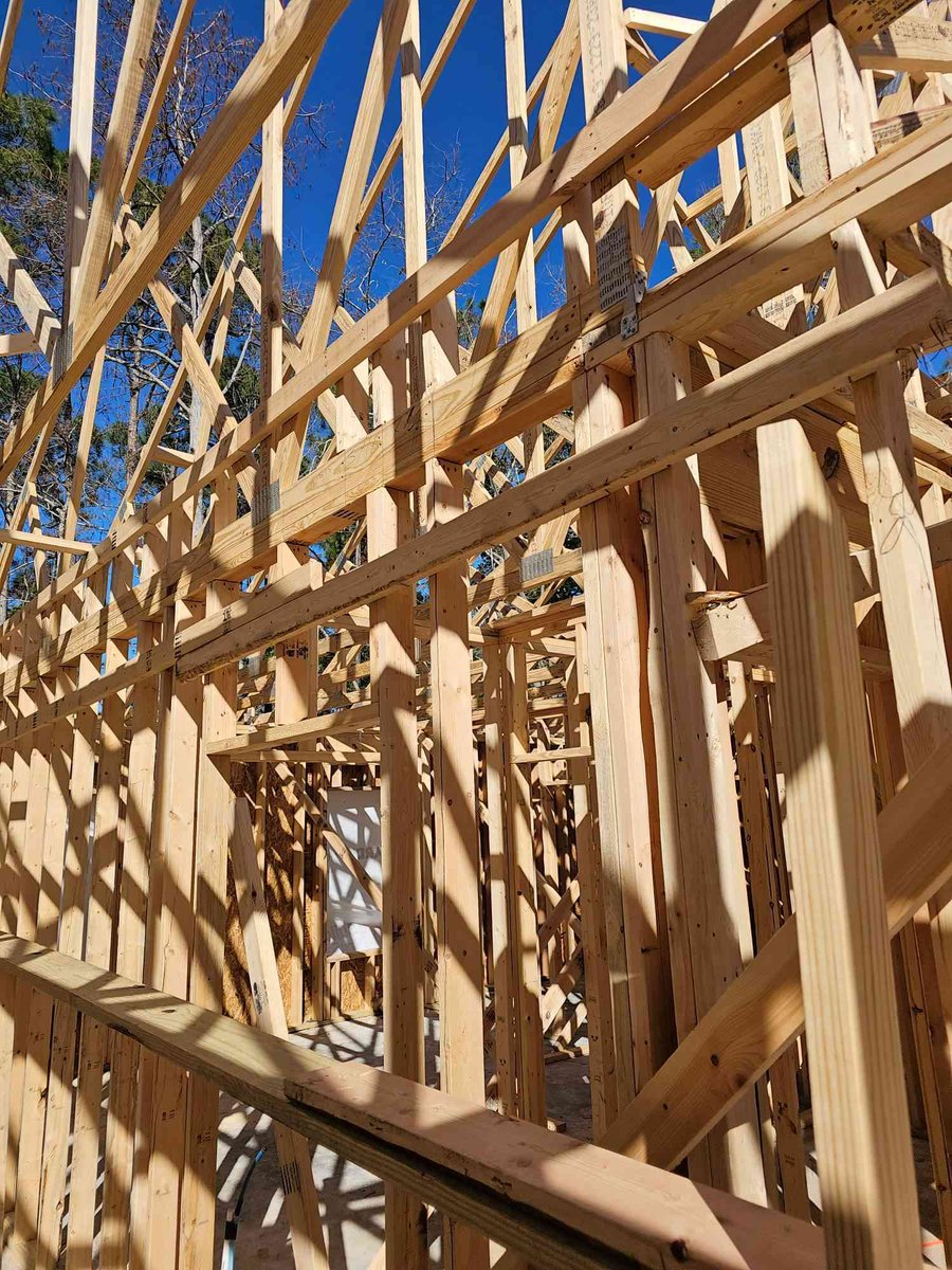 wall framing and roof trusses under construction by EZ Modern Homes in Pensacola FL The Lafon-optimized-optimized